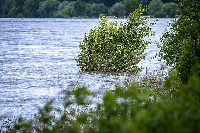 Wateroverlast in Lebbeke | Agentschap voor Natuur en Bos